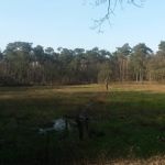 Sportief - Jaarlijks uitje 2018